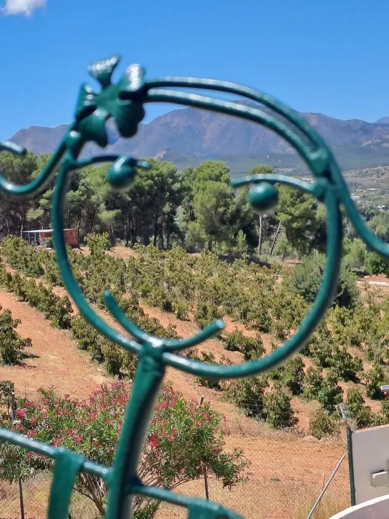 Wrought-iron detail framing the green valley and the mountains