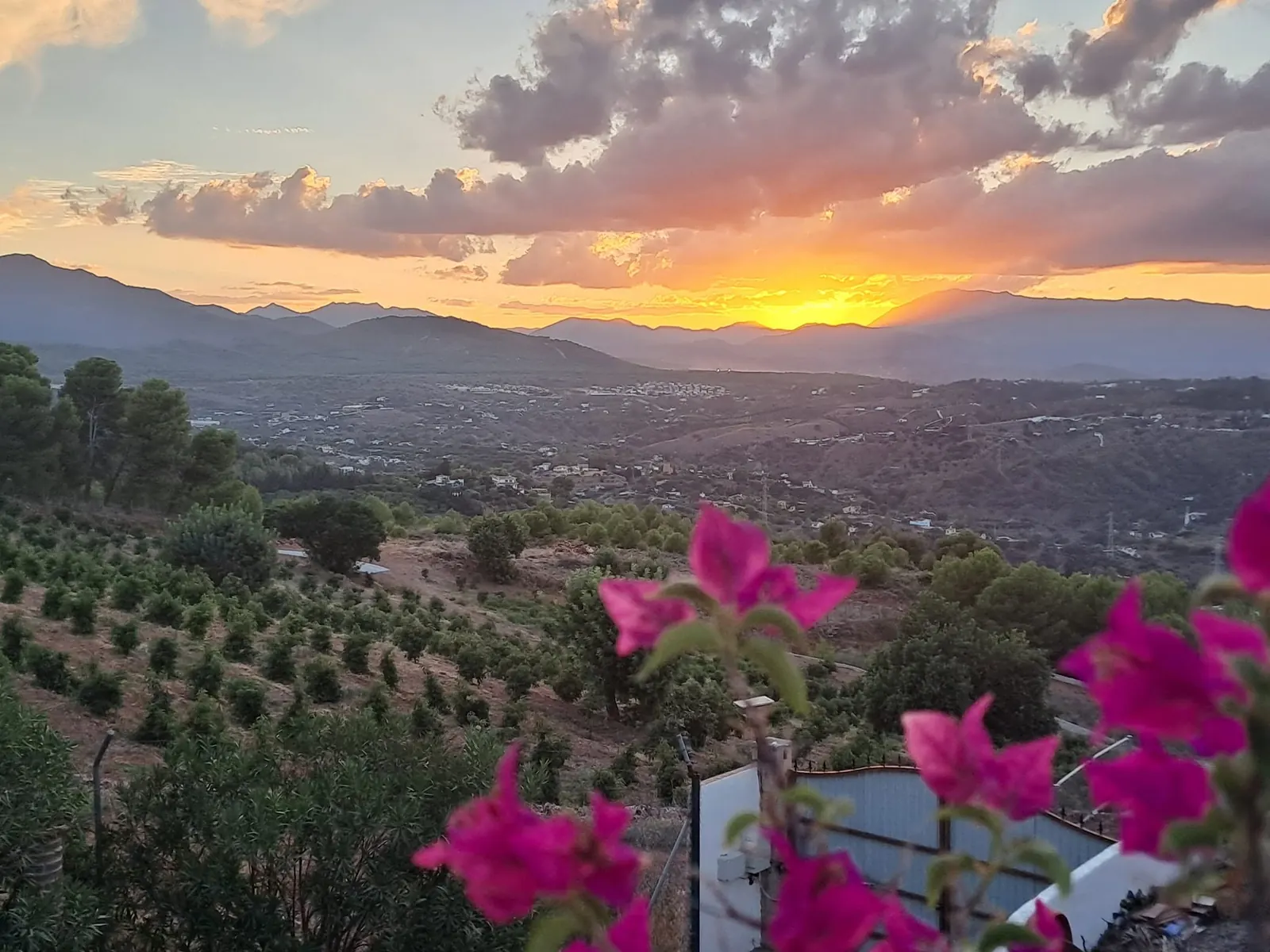Golden sunset over the valley behind pink bougainvillea