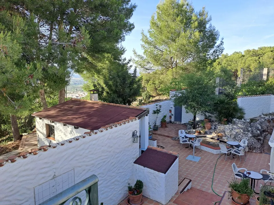 The white courtyard terrace with tables among pine trees